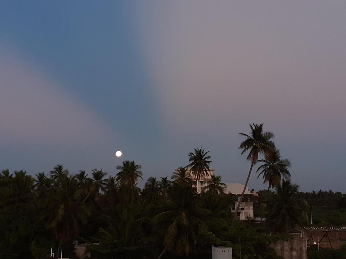 Holi-Wood Guesthouse Pondicherry Dış mekan fotoğraf