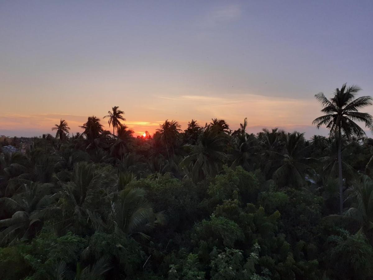 Holi-Wood Guesthouse Pondicherry Dış mekan fotoğraf