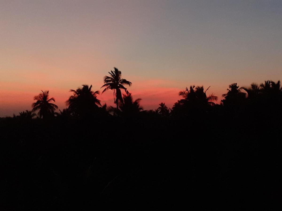 Holi-Wood Guesthouse Pondicherry Dış mekan fotoğraf