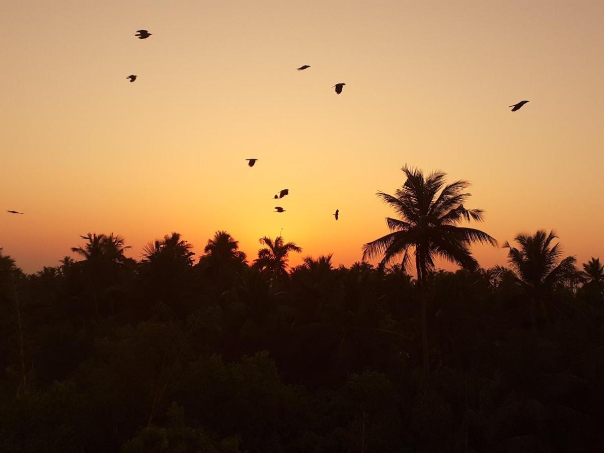 Holi-Wood Guesthouse Pondicherry Dış mekan fotoğraf